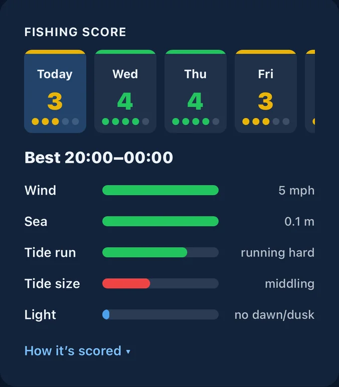 TideMark fishing score: each day rated out of five, with bars for wind, sea, tide run, tide size and light, and the best hours.